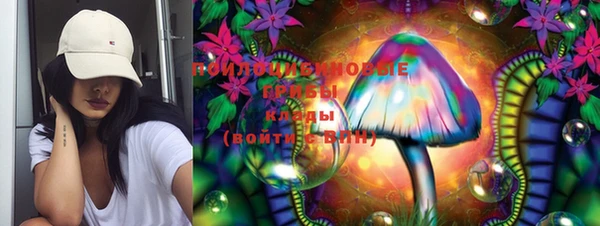 круглые Аркадак